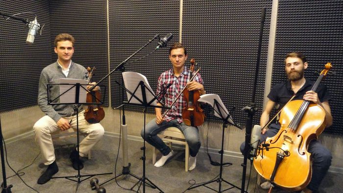 Музыкальный коллектив 